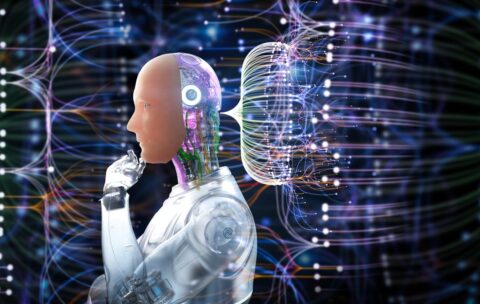 Almacenamiento de data para principiantes