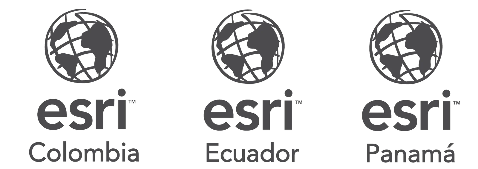Universidad ESRI
